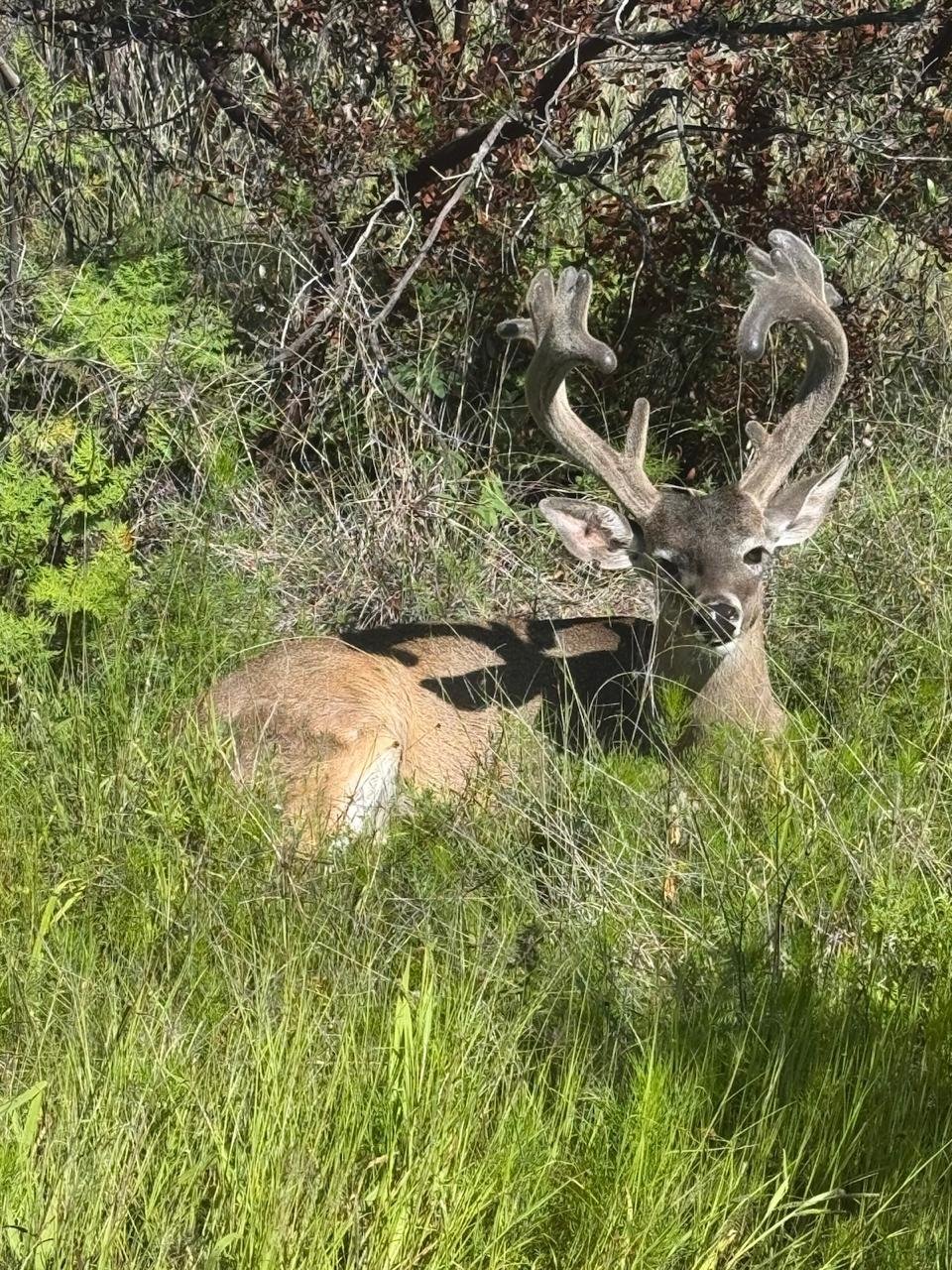 PHOTO 2025 12 10 19 34 11