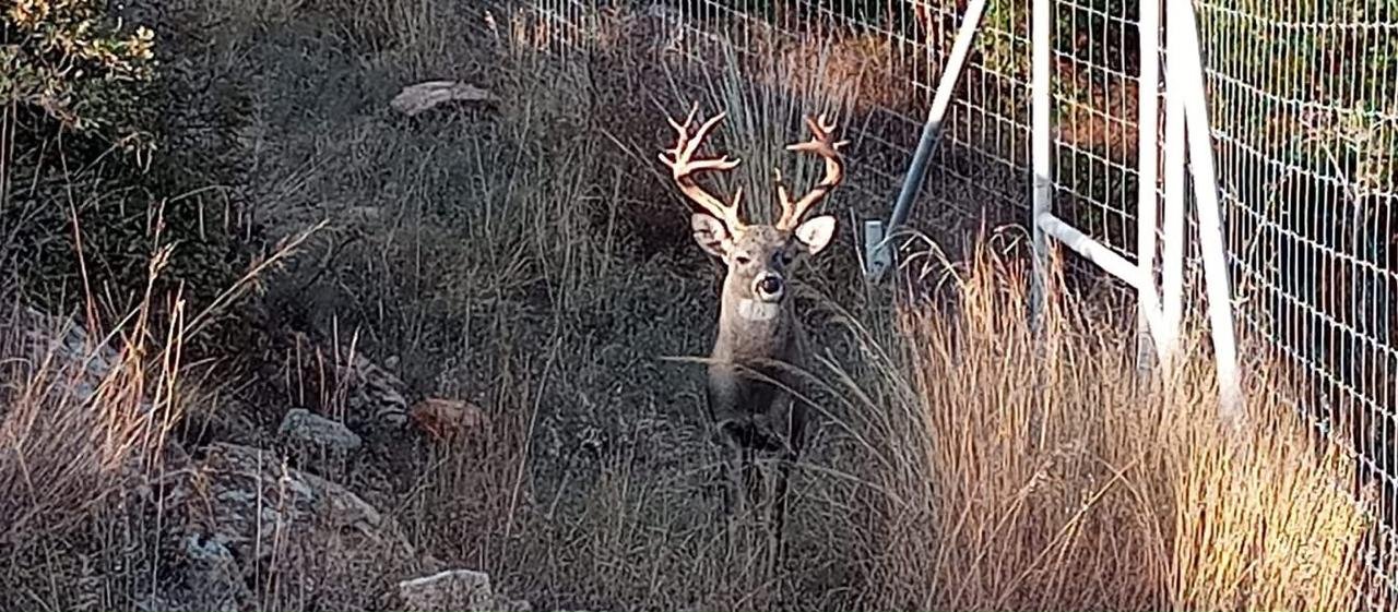 PHOTO 2026 01 22 21 28 29