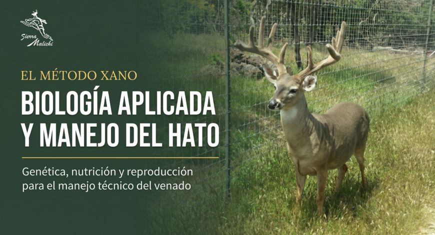 El Método Xano: Biología Aplicada y Manejo del Hato