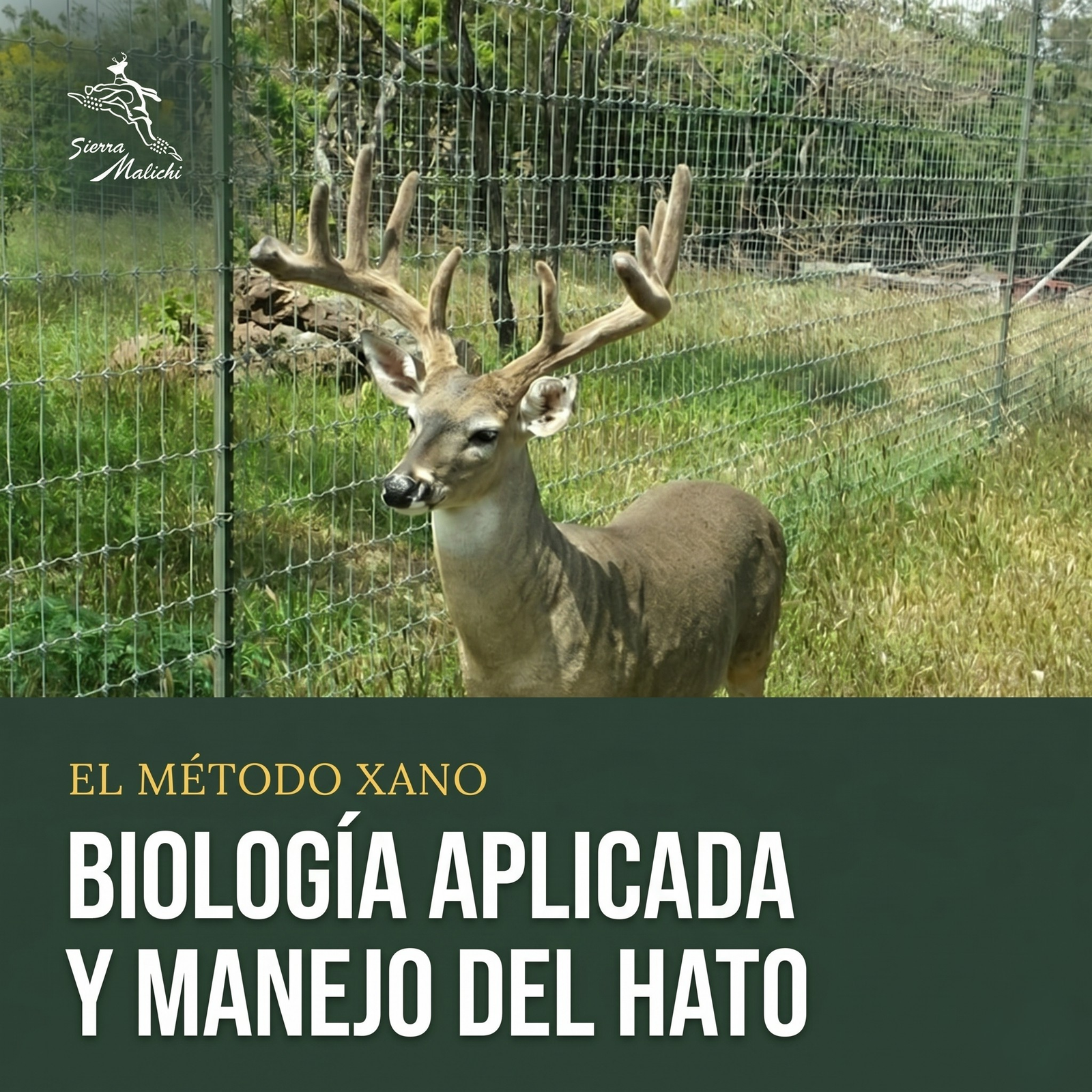 Biología Aplicada y Manejo del Hato