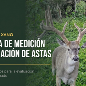 El Método Xano: Sistema de Medición y Evaluación de Astas