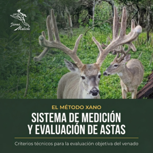 Sistema de Medición y Evaluación de Astas