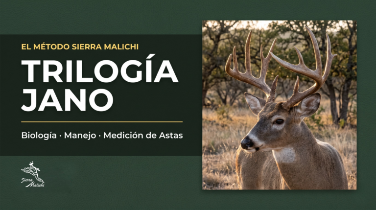 Bundle: Trilogía Jano | El Método Sierra Malichi